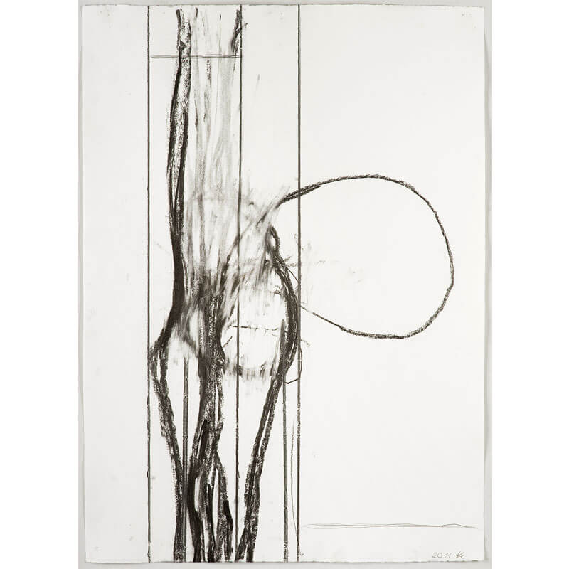 o.T. (a.d. Serie: Gebärde der Natur), 2011, Kohle, Graphit auf Büttenpapier, H 78 cm, B 56 cm
