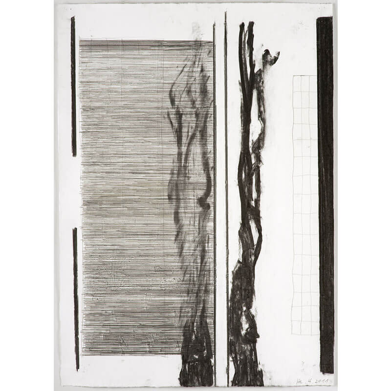 o.T. (a.d. Serie: Gebärde der Natur), 2011, Kohle, Graphit auf Büttenpapier, H 79 cm, B 57 cm