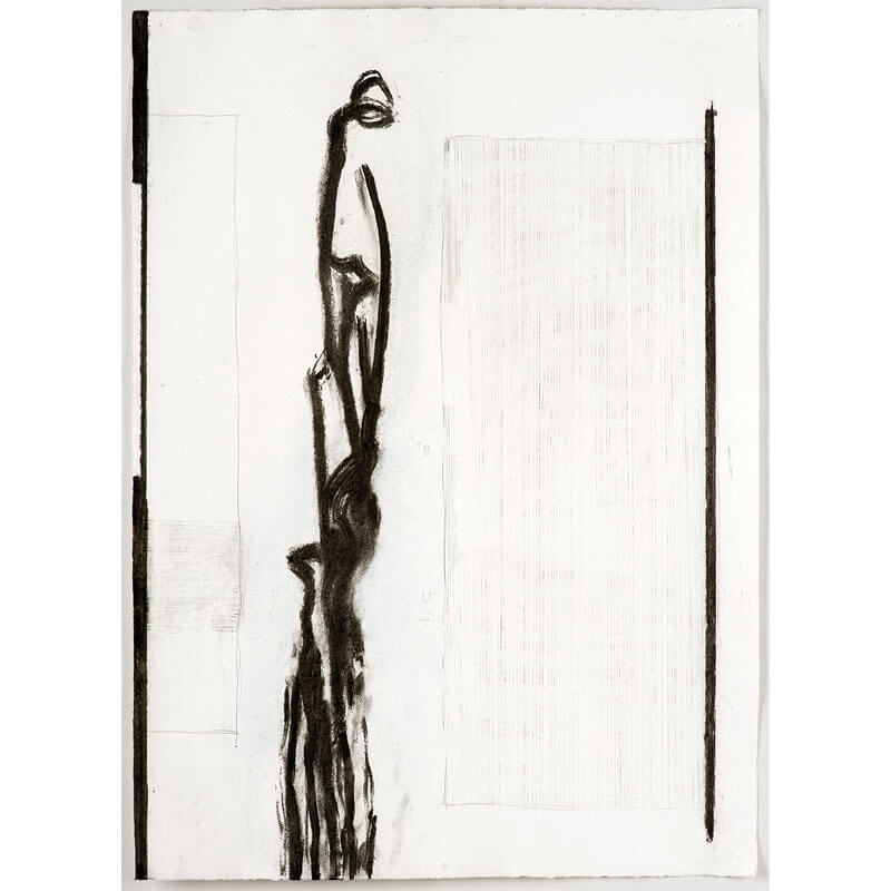 o.T. (a.d. Serie: Gebärde der Natur), 2011, Kohle, Graphit auf Büttenpapier, H 78 cm, B 56 cm